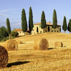 bakeca annunci coppie vicenza